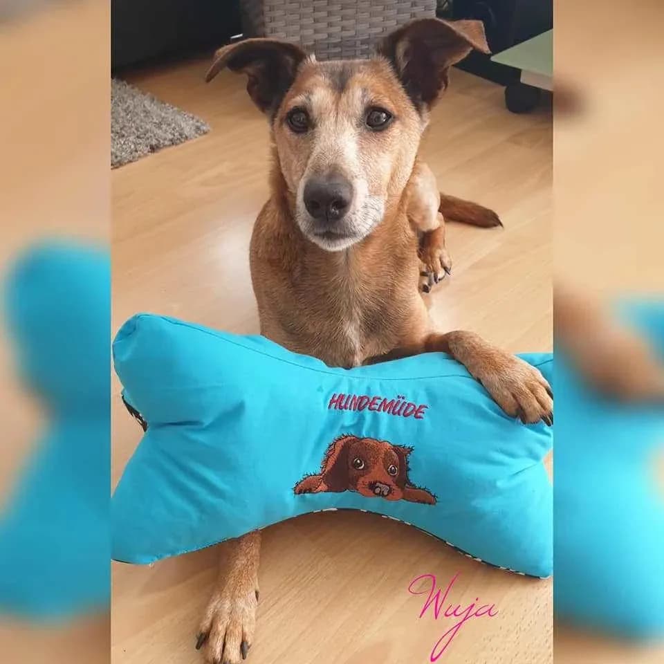 Stickdatei Hund mit Schriftzug Hundemüde