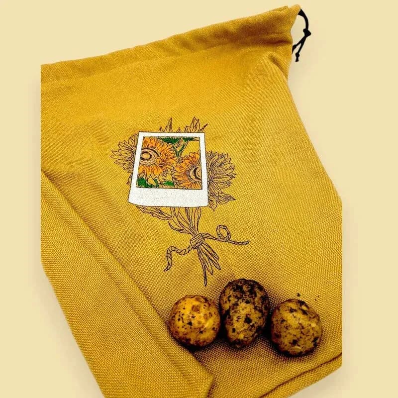 Stickdatei Polaroid Sonnenblume