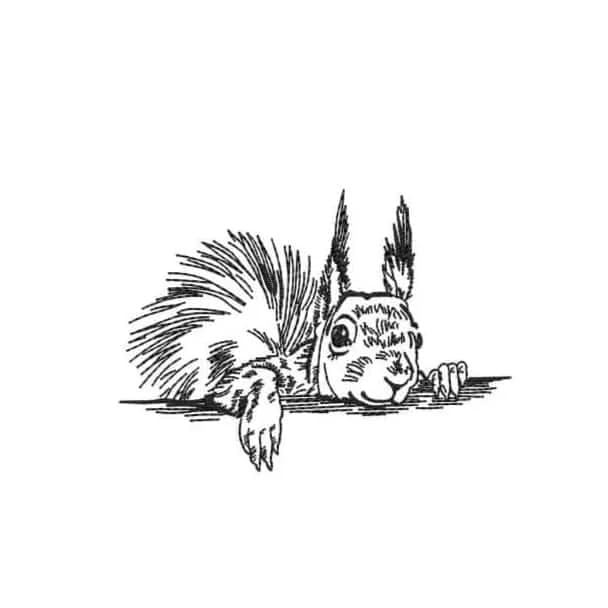 Stickdatei Eichhörnchen Kritzel