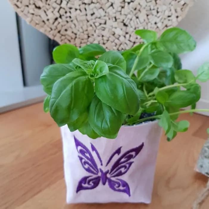 Stickdatei Schmetterling Papillon Uni